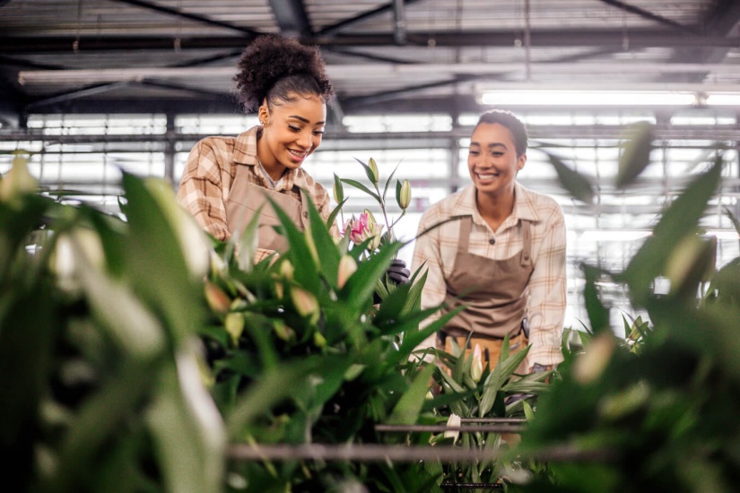 Afbeelding Wat is de PAWW-regeling? (Over SPAWW)