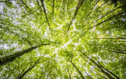 Premieheffing over transitievergoeding vervalt