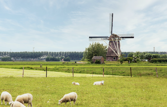 PAWW-deelname: waarom verlengen?